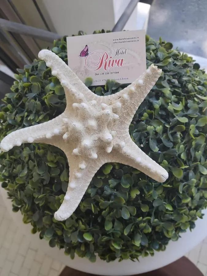 Hotel Riva Ρίμινι